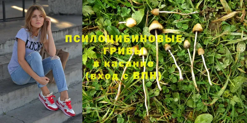 Галлюциногенные грибы MAGIC MUSHROOMS  Белгород 